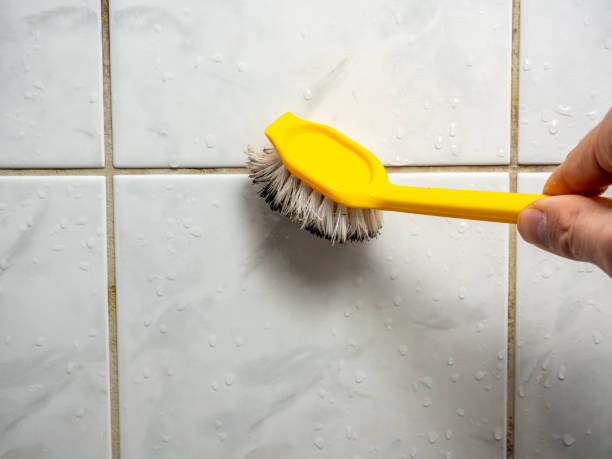 Reliable Crest Hill, IL Mold Removal Solutions