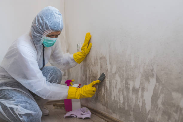 Best Mold Testing  in Crest Hl, IL