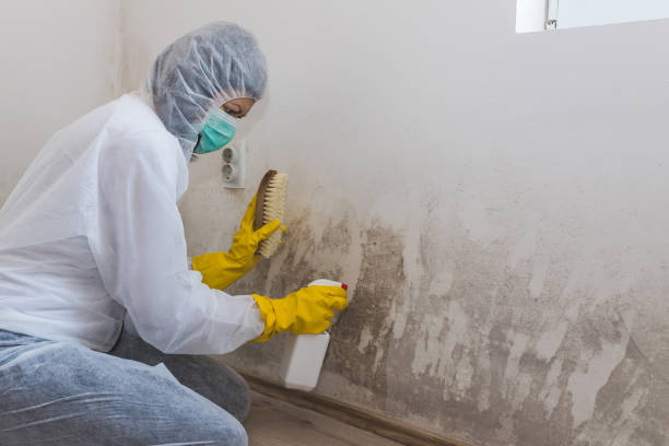 Water Damage Restoration in Crest Hill, IL