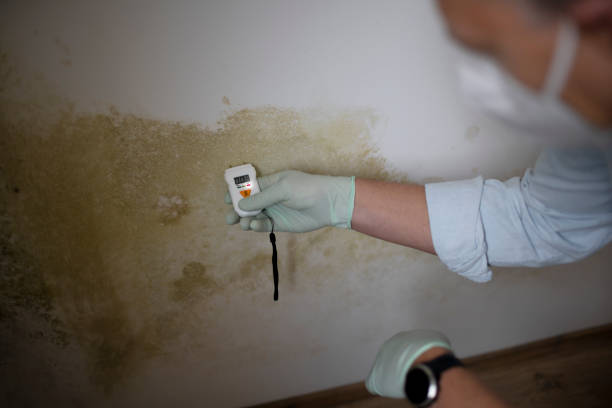 Best Water Damage Restoration  in Crest Hl, IL