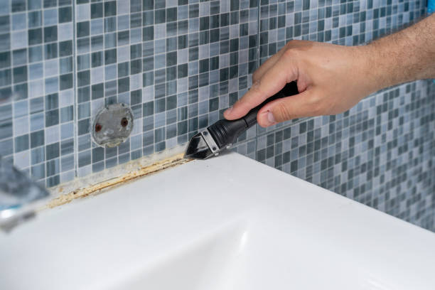 Best Office Mold Removal Services  in Crest Hl, IL