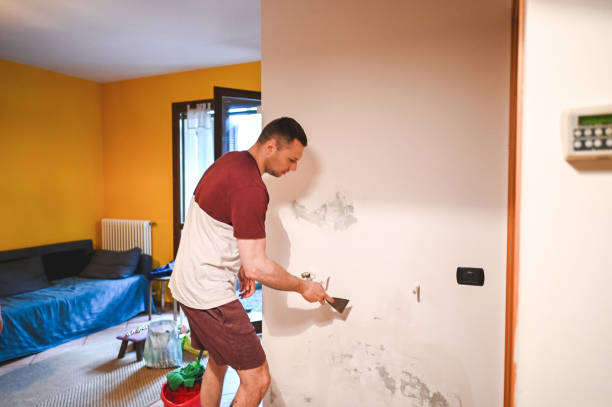 Best Local Mold Removal Service  in Crest Hl, IL